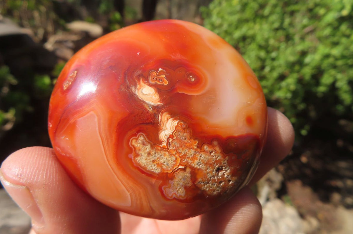 Polished Carnelian Palm Stones x 24 From Madagascar - Toprock Gemstones and Minerals 