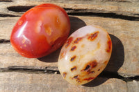 Polished Carnelian Palm Stones x 24 From Madagascar - Toprock Gemstones and Minerals 