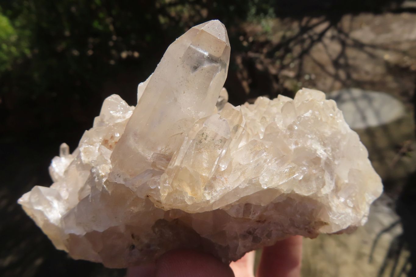 Natural Clear Quartz Crystal Clusters x 4 From Madagascar - Toprock Gemstones and Minerals 