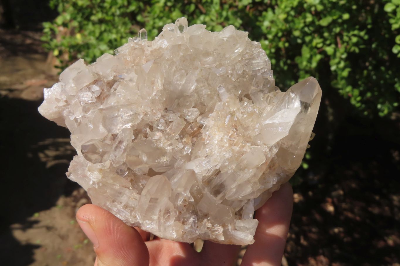 Natural Clear Quartz Crystal Clusters x 4 From Madagascar - Toprock Gemstones and Minerals 