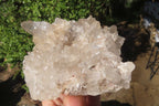 Natural Clear Quartz Crystal Clusters x 4 From Madagascar - Toprock Gemstones and Minerals 