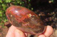 Polished Red Podocarpus Petrified Wood Palm Stones x 12 From Madagascar - Toprock Gemstones and Minerals 