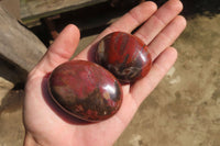 Polished Red Podocarpus Petrified Wood Palm Stones x 12 From Madagascar - Toprock Gemstones and Minerals 