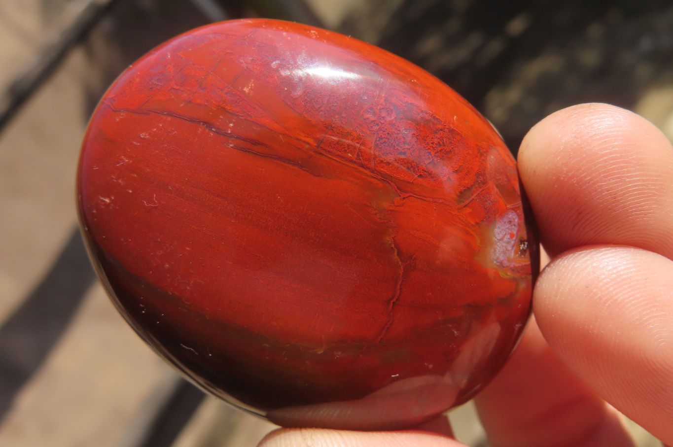 Polished Red Podocarpus Petrified Wood Palm Stones x 12 From Madagascar - Toprock Gemstones and Minerals 