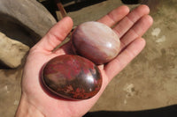 Polished Red Podocarpus Petrified Wood Palm Stones x 12 From Madagascar - Toprock Gemstones and Minerals 