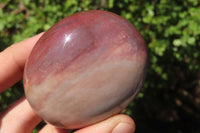 Polished Red Podocarpus Petrified Wood Palm Stones x 12 From Madagascar - Toprock Gemstones and Minerals 