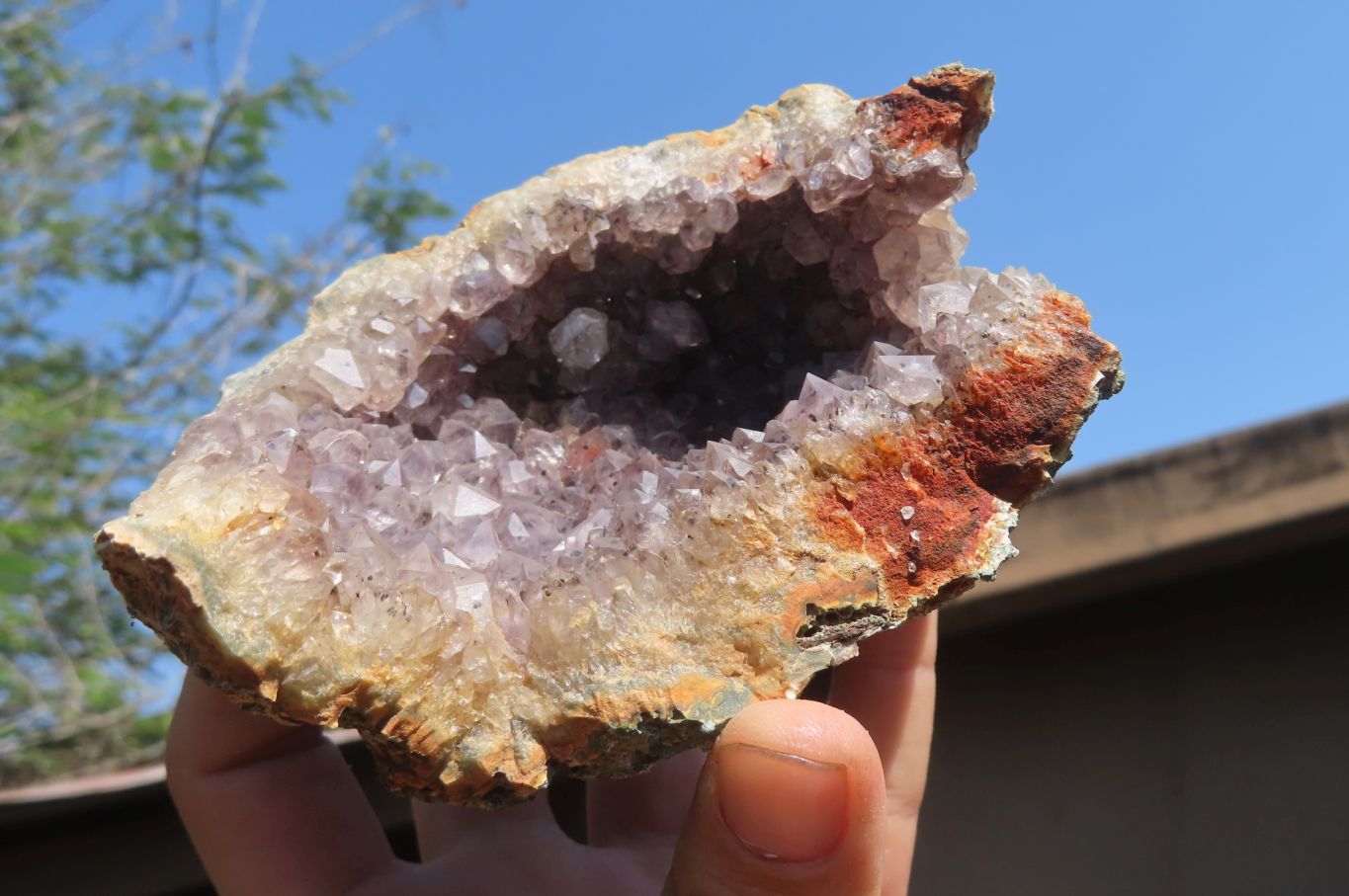 Natural Mixed Zululand Geodes x 3 from Jozini, South Africa - Toprock Gemstones and Minerals 