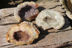 Natural Mixed Zululand Geodes x 3 from Jozini, South Africa - Toprock Gemstones and Minerals 