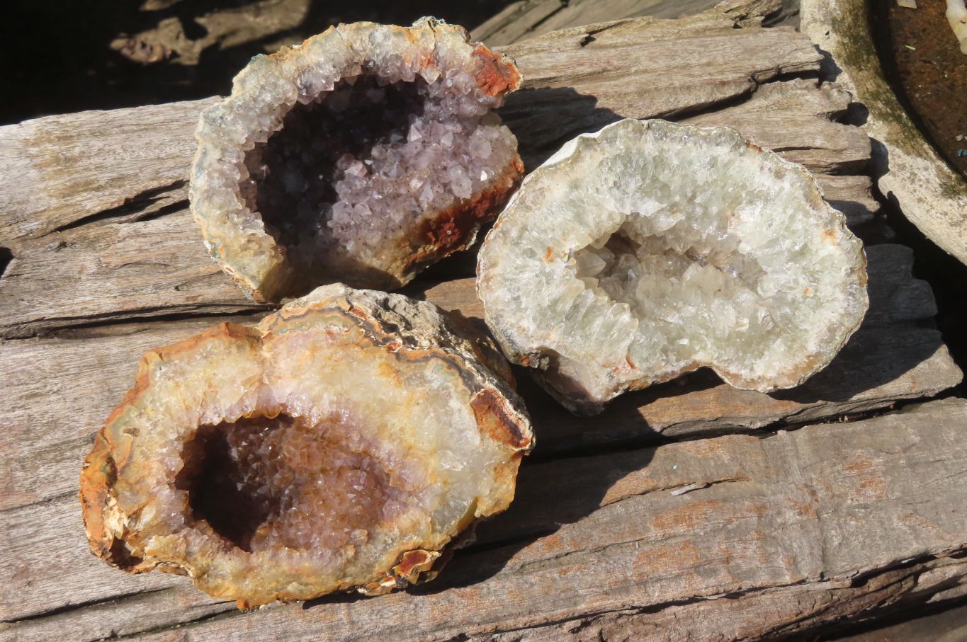 Natural Mixed Zululand Geodes x 3 from Jozini, South Africa - Toprock Gemstones and Minerals 