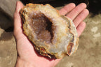 Natural Mixed Zululand Geodes x 3 from Jozini, South Africa - Toprock Gemstones and Minerals 