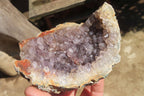 Natural Mixed Zululand Geodes x 3 from Jozini, South Africa - Toprock Gemstones and Minerals 