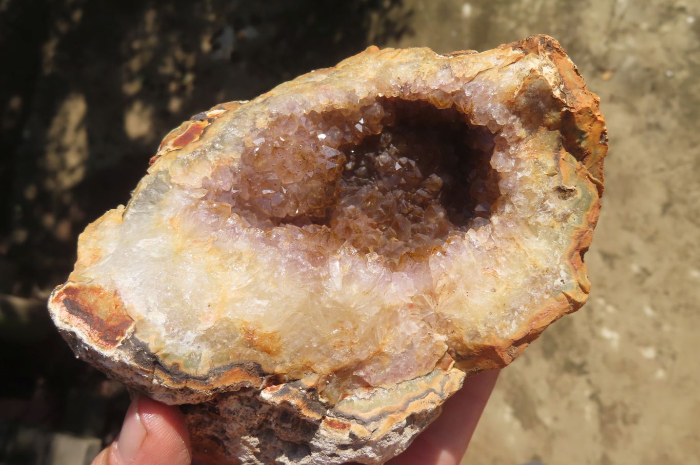 Natural Mixed Zululand Geodes x 3 from Jozini, South Africa - Toprock Gemstones and Minerals 