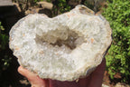 Natural Mixed Zululand Geodes x 3 from Jozini, South Africa - Toprock Gemstones and Minerals 