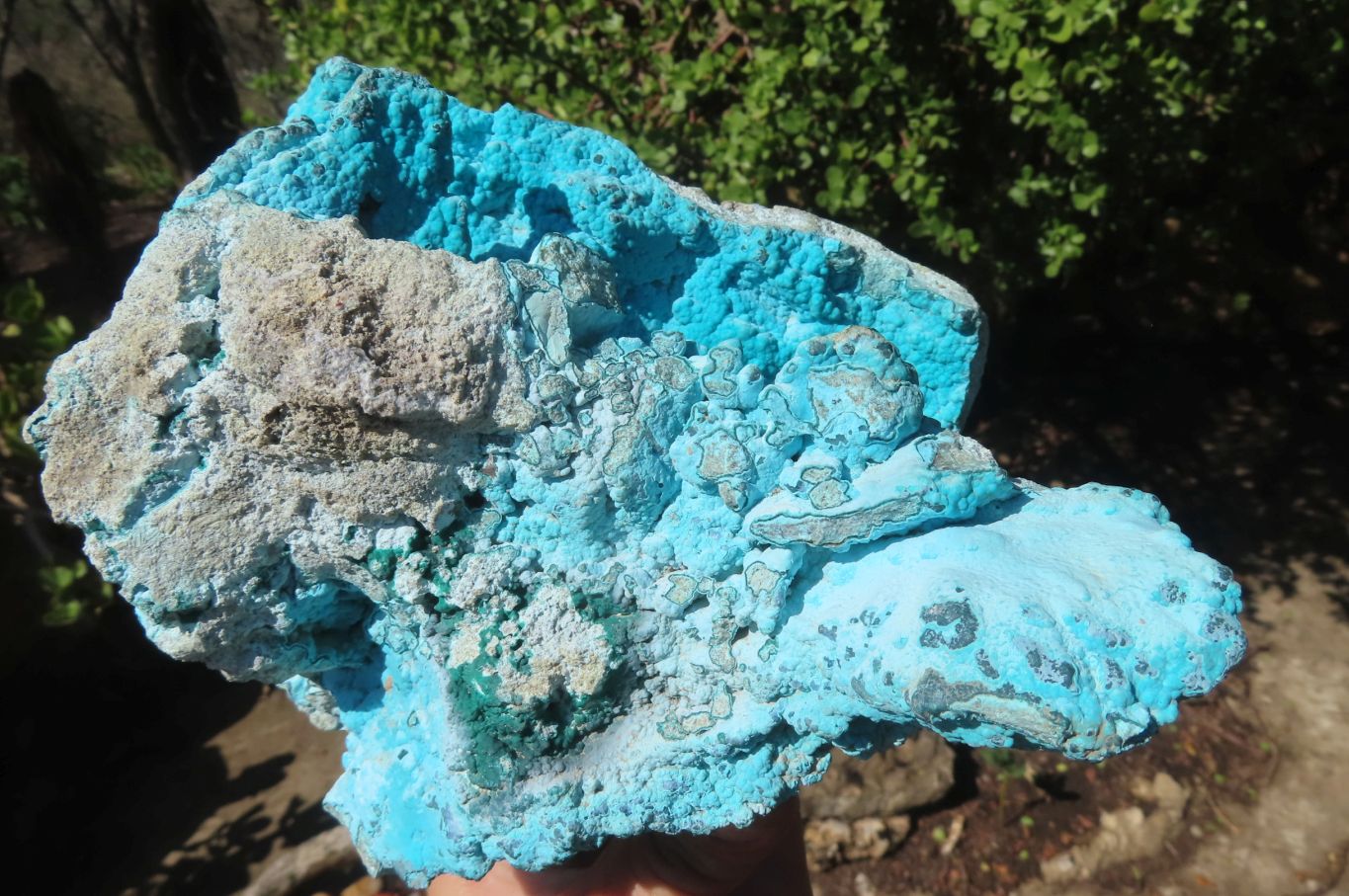 Natural Botryoidal Malacolla Specimen x 1 From Congo - Toprock Gemstones and Minerals 