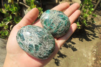 Polished Rare Emerald Mica In Matrix Free Forms x 6 From Mutoko, Zimbabwe - Toprock Gemstones and Minerals 