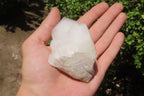 Natural White Quartz Crystal Clusters x 13 From Madagascar - Toprock Gemstones and Minerals 