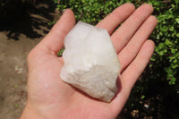 Natural White Quartz Crystal Clusters x 13 From Madagascar - Toprock Gemstones and Minerals 