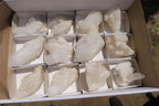 Natural White Quartz Crystal Clusters x 13 From Madagascar - Toprock Gemstones and Minerals 