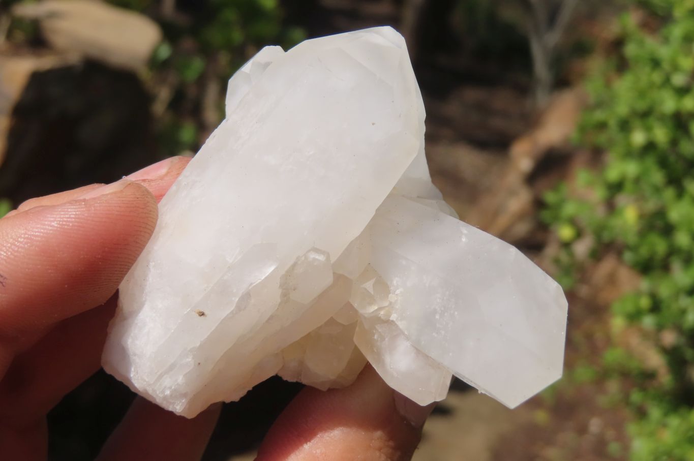 Natural White Quartz Crystal Clusters x 13 From Madagascar - Toprock Gemstones and Minerals 
