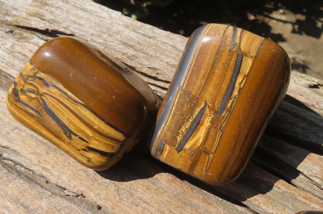 Polished Tiger's Eye Free Forms x 4 From Prieska, South Africa - Toprock Gemstones and Minerals 