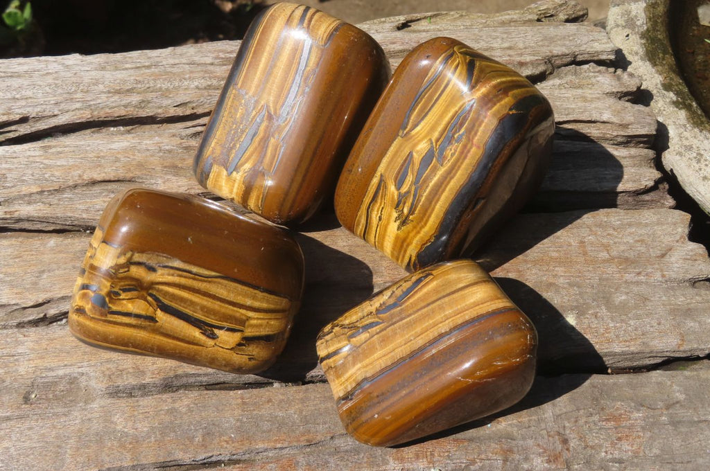 Polished Tiger's Eye Free Forms x 4 From Prieska, South Africa - Toprock Gemstones and Minerals 