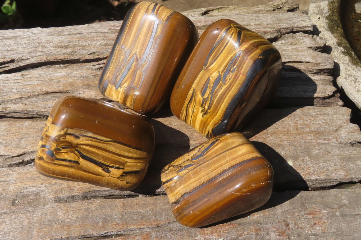 Polished Tiger's Eye Free Forms x 4 From Prieska, South Africa - Toprock Gemstones and Minerals 