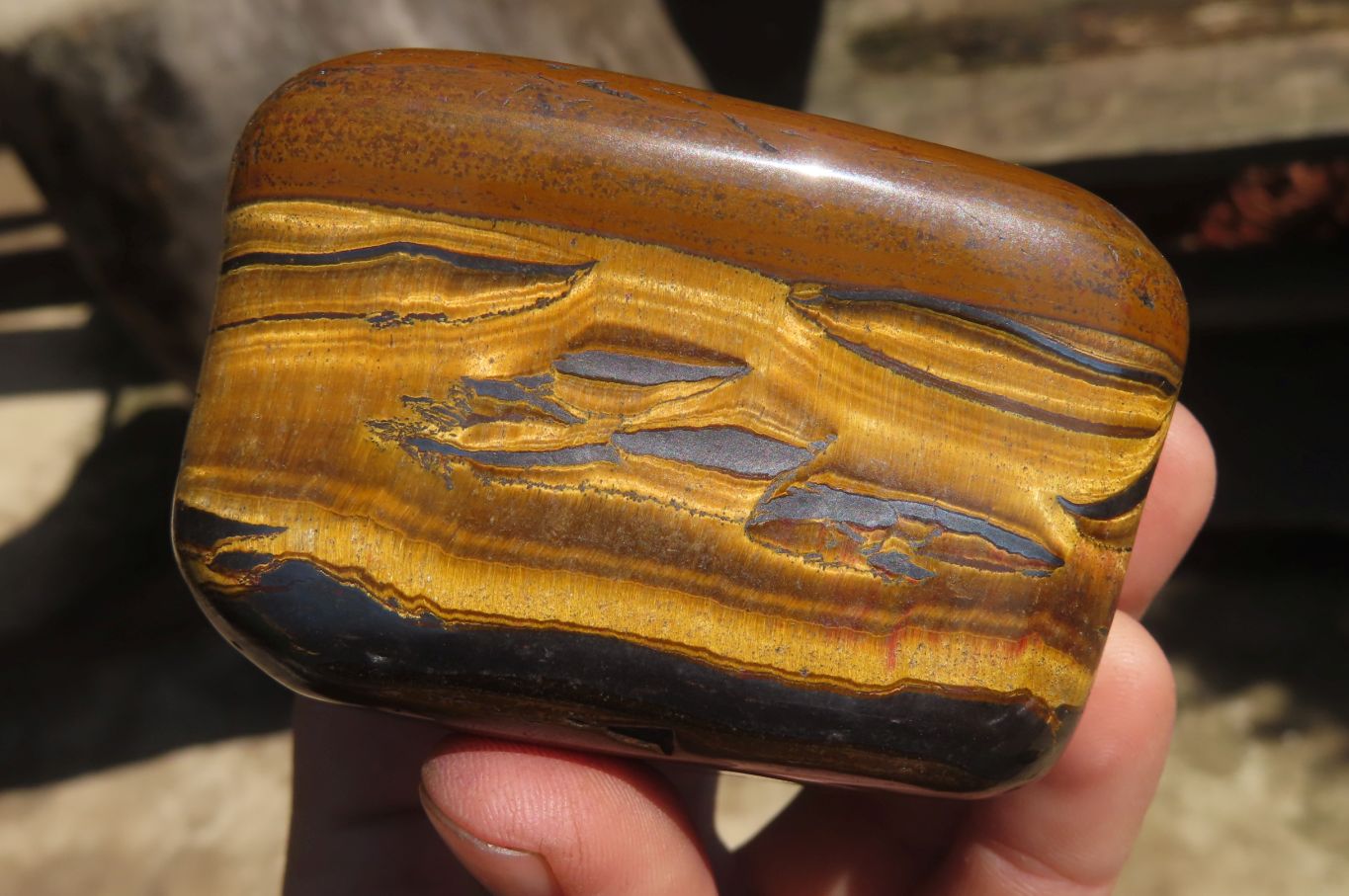Polished Tiger's Eye Free Forms x 4 From Prieska, South Africa - Toprock Gemstones and Minerals 
