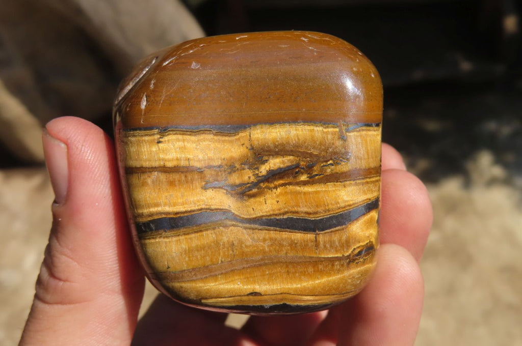 Polished Tiger's Eye Free Forms x 4 From Prieska, South Africa - Toprock Gemstones and Minerals 