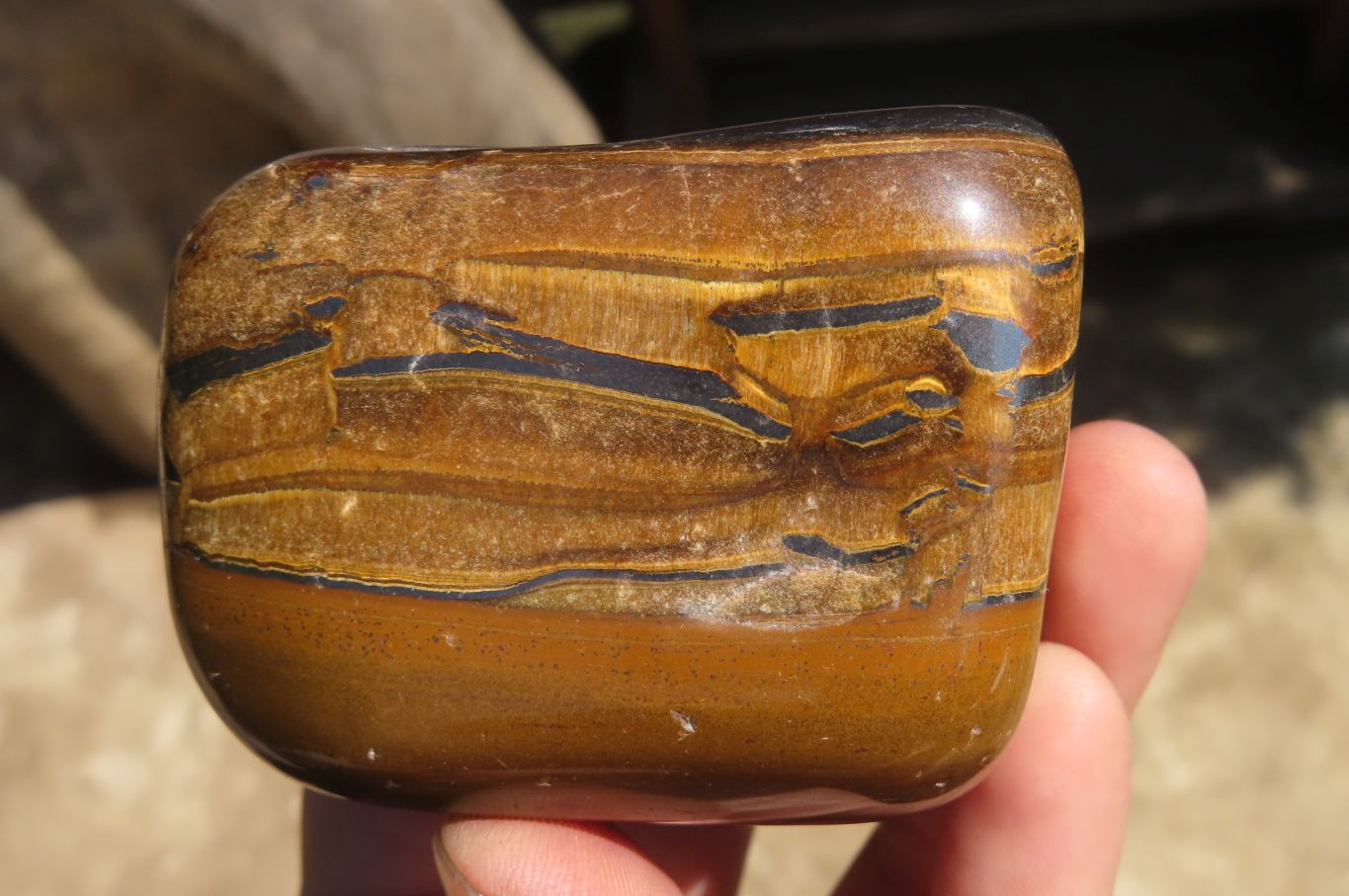 Polished Tiger's Eye Free Forms x 4 From Prieska, South Africa - Toprock Gemstones and Minerals 