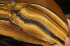 Polished Tiger's Eye Free Forms x 4 From Prieska, South Africa - Toprock Gemstones and Minerals 