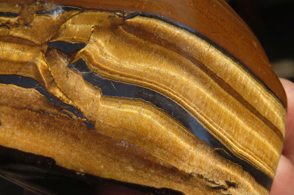 Polished Tiger's Eye Free Forms x 4 From Prieska, South Africa