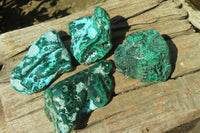 Polished Flower Banded Malacolla Free Forms x 4 From Congo - Toprock Gemstones and Minerals 