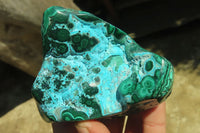 Polished Flower Banded Malacolla Free Forms x 4 From Congo - Toprock Gemstones and Minerals 