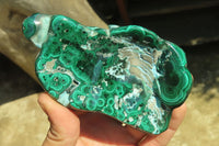 Polished Flower Banded Malacolla Free Forms x 4 From Congo - Toprock Gemstones and Minerals 