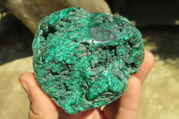 Polished Flower Banded Malacolla Free Forms x 4 From Congo - Toprock Gemstones and Minerals 
