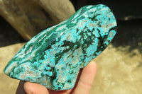 Polished Flower Banded Malacolla Free Forms x 4 From Congo - Toprock Gemstones and Minerals 