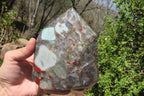 Polished Bloodstone With Pyrite Crystal x 1 From Swaziland - Toprock Gemstones and Minerals 