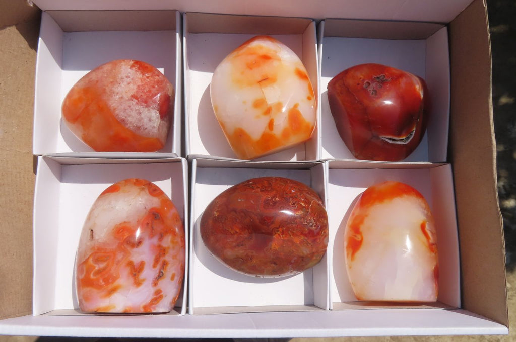 Polished Carnelian Standing Free Forms x 6 From Madagascar - Toprock Gemstones and Minerals 