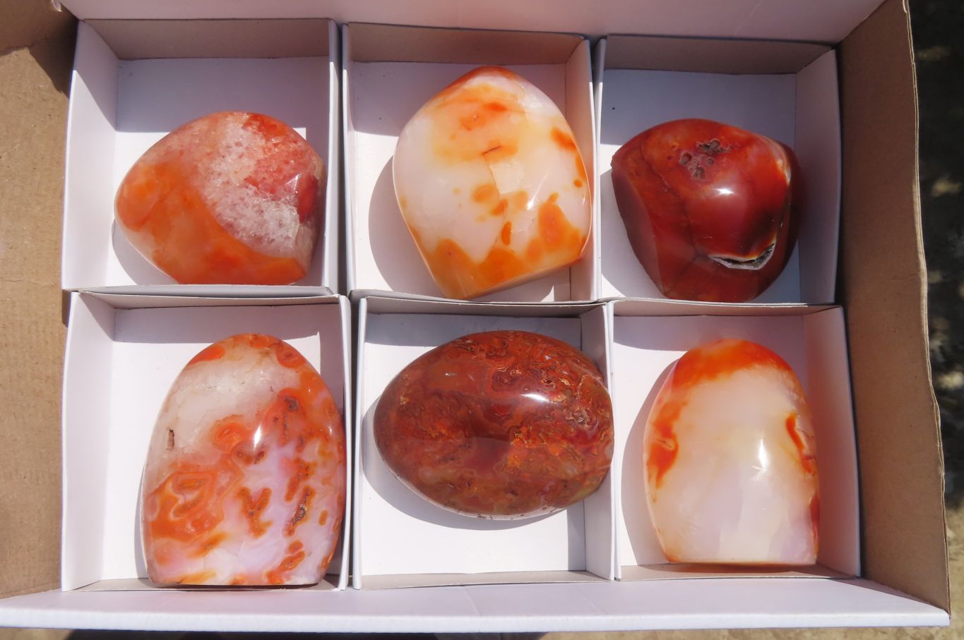 Polished Carnelian Standing Free Forms x 6 From Madagascar - Toprock Gemstones and Minerals 