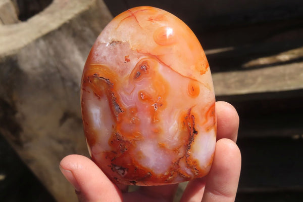 Polished Carnelian Standing Free Forms x 6 From Madagascar - Toprock Gemstones and Minerals 