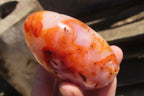 Polished Carnelian Standing Free Forms x 6 From Madagascar - Toprock Gemstones and Minerals 