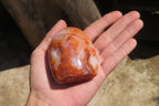 Polished Carnelian Standing Free Forms x 6 From Madagascar - Toprock Gemstones and Minerals 