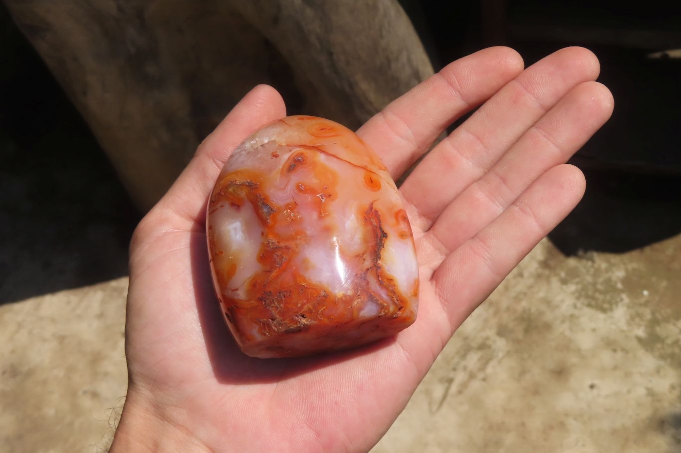 Polished Carnelian Standing Free Forms x 6 From Madagascar - Toprock Gemstones and Minerals 