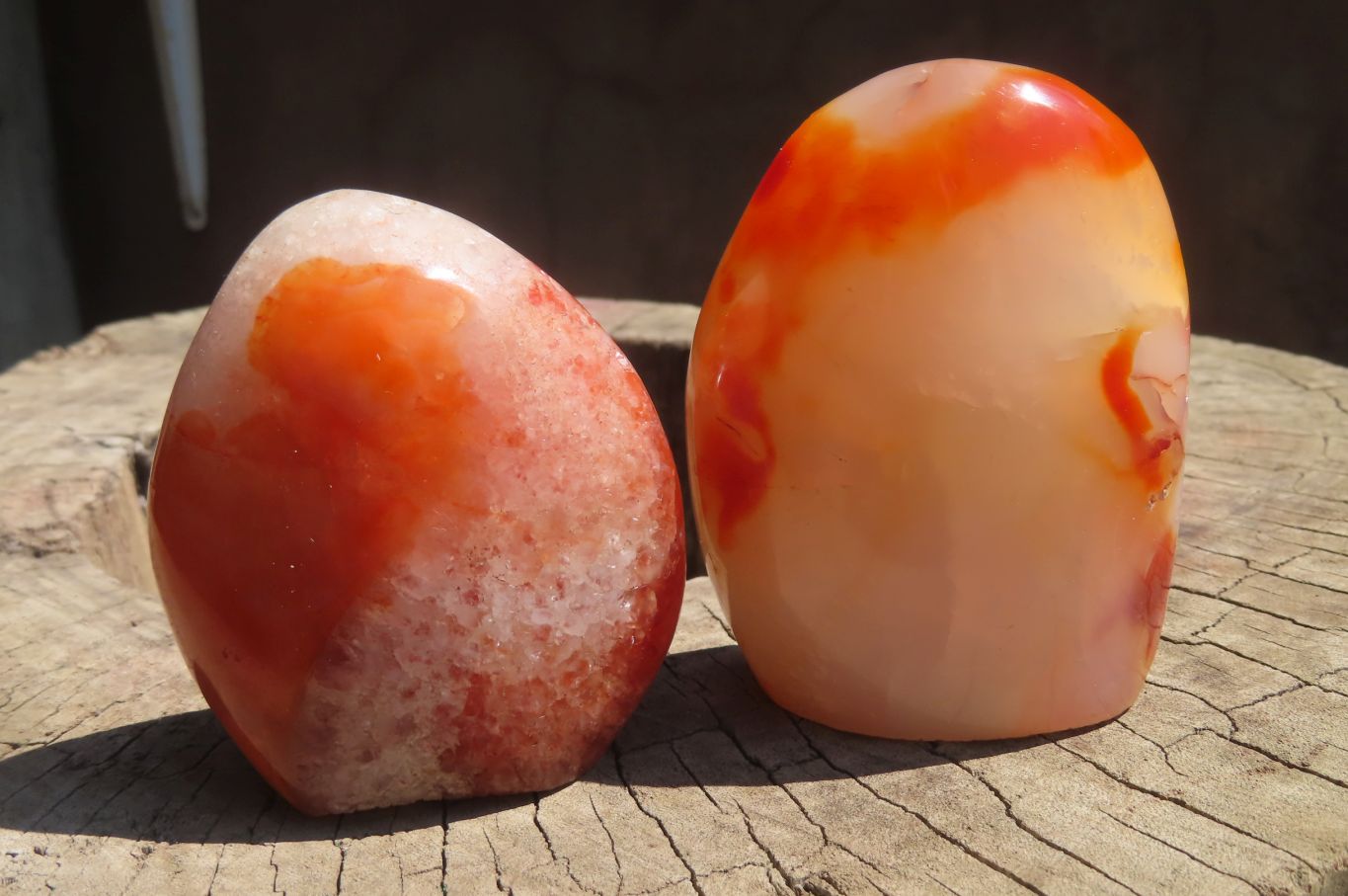 Polished Carnelian Standing Free Forms x 6 From Madagascar - Toprock Gemstones and Minerals 