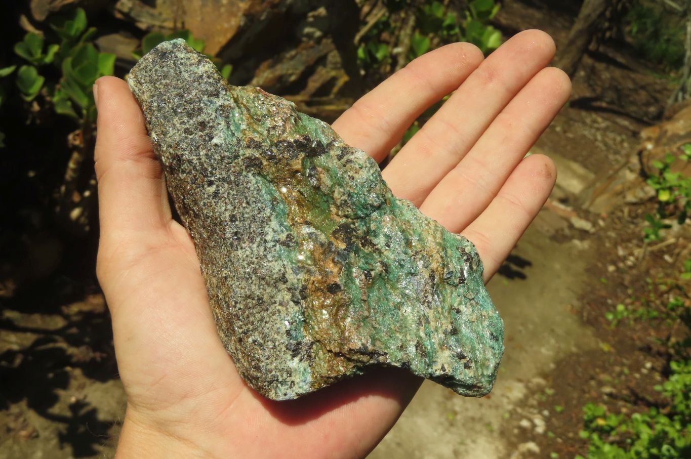 Natural Kyanite In Fuchsite Matrix Specimens x 5 From Zimbabwe - Toprock Gemstones and Minerals 
