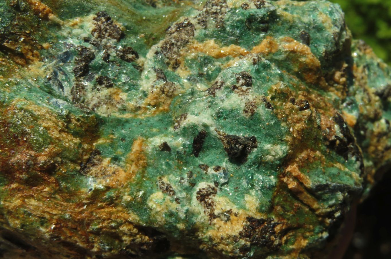 Natural Kyanite In Fuchsite Matrix Specimens x 5 From Zimbabwe - Toprock Gemstones and Minerals 