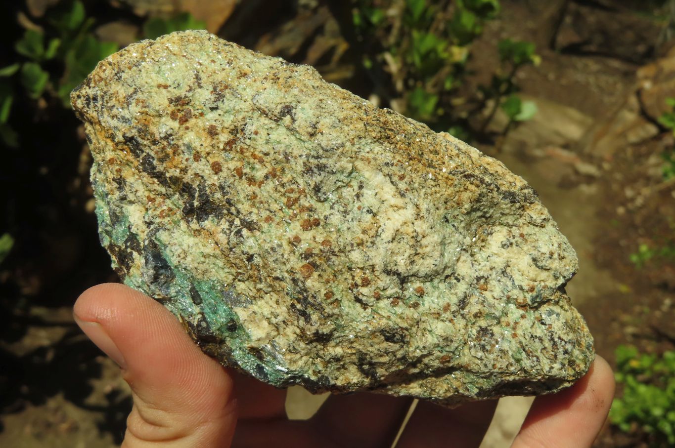 Natural Kyanite In Fuchsite Matrix Specimens x 5 From Zimbabwe - Toprock Gemstones and Minerals 