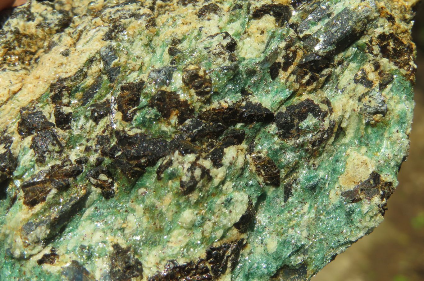 Natural Kyanite In Fuchsite Matrix Specimens x 5 From Zimbabwe - Toprock Gemstones and Minerals 