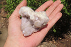 Natural Spirit Quartz Clusters x 6 From Boekenhouthoek, South Africa - Toprock Gemstones and Minerals 