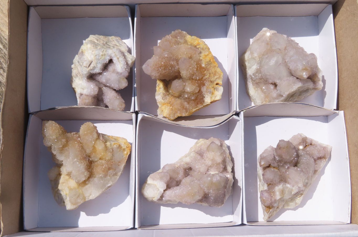 Natural Spirit Quartz Clusters x 6 From Boekenhouthoek, South Africa - Toprock Gemstones and Minerals 